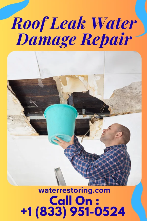 Roof Leak Water Damage Repair in Trenton, TX